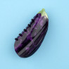 Pince à cheveux - Aubergine | Coucou Suzette