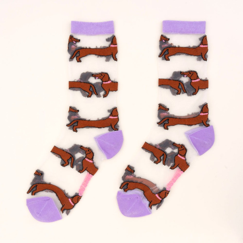 Chaussettes Transparentes Teckel