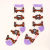 Chaussettes Transparentes Teckel